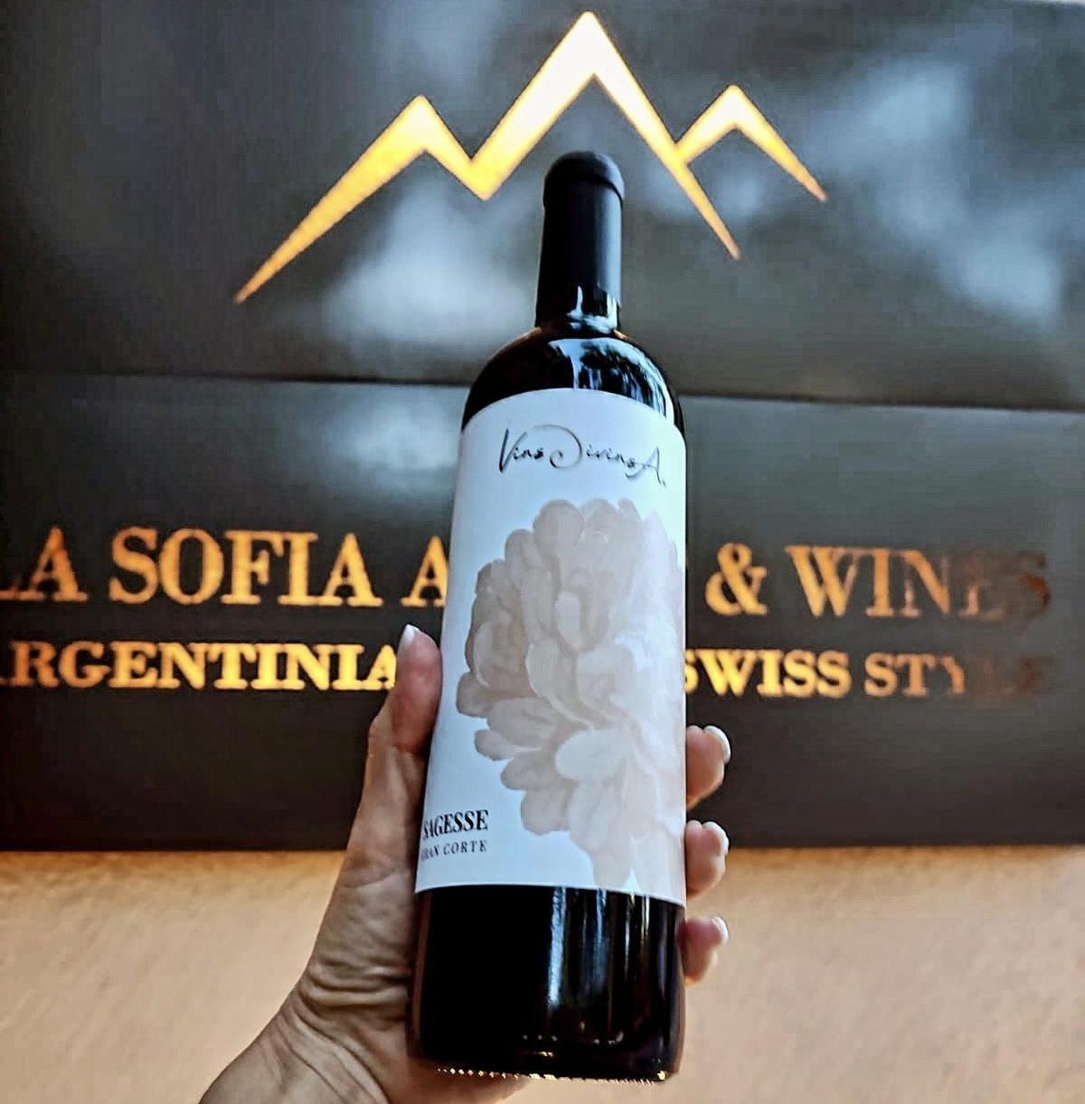 La Sofia Apart & Wines Мендоса Экстерьер фото